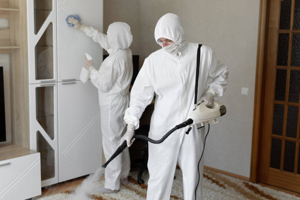 Best Commercial Mold Remediation in Byrnes Mill, MO